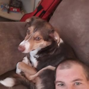 Meet your Posher, Richard